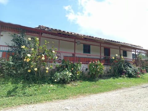 Property building, Spring, Day, Garden, Garden view