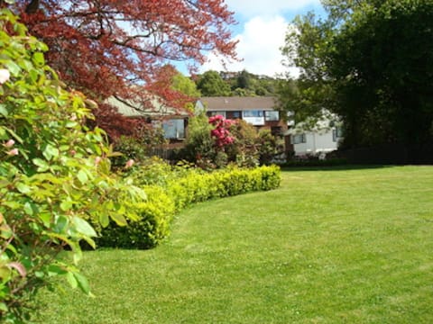 Neighbourhood, Natural landscape, Summer