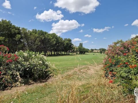 Spring, Day, Natural landscape, Garden, Garden view