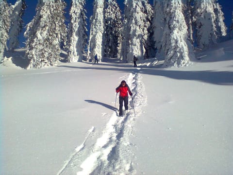 Winter, Hiking