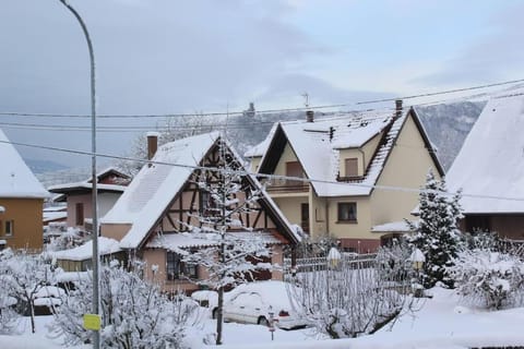 Garte Hiesel la maison de jardin House in Sélestat