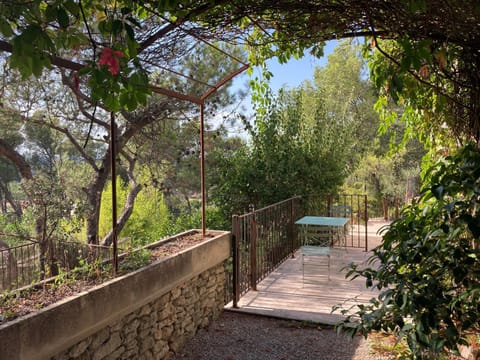 Day, Garden, Garden, Balcony/Terrace, Garden view