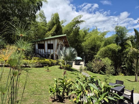 Natural landscape, Garden, Garden view