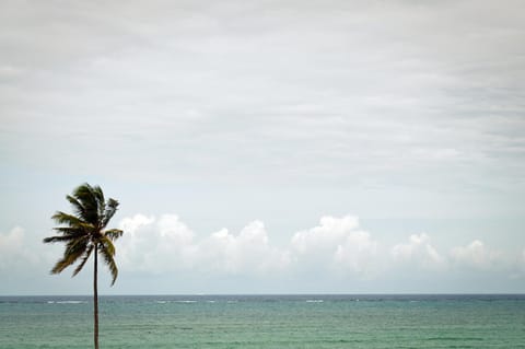 Day, Natural landscape, Beach, Sea view