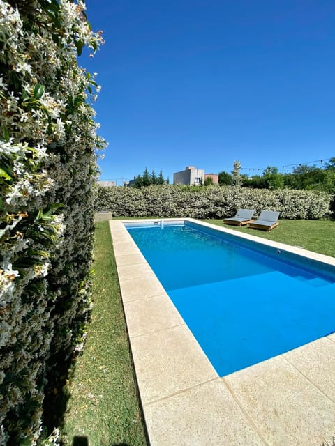 Garden, Pool view, Swimming pool