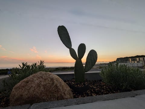 Natural landscape, Sea view, Sunrise