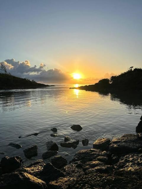 Oceanview Escape - Beachfront Apartment Apartment in Rivière du Rempart District, Mauritius