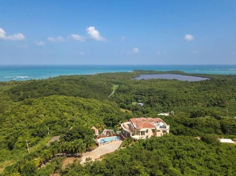 Bird's eye view, Beach