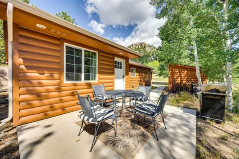 Cabin in Eleven Mile Village with Patio and Gas Grill! House in Park County