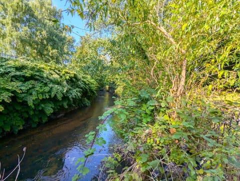 Day, Natural landscape, River view