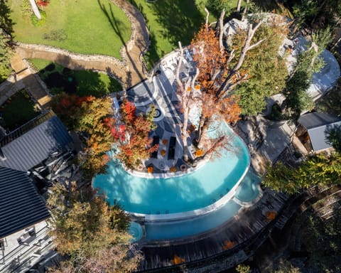 Natural landscape, Pool view, Swimming pool