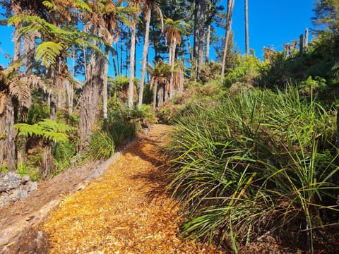 Natural landscape, Garden