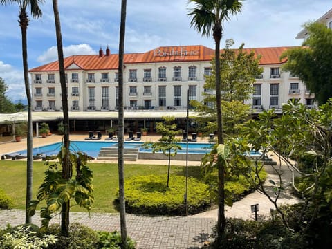 Garden, Pool view, Swimming pool