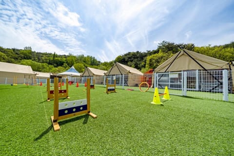 Cheongdo Shinnanda Aegyeon Glamping Campground/ 
RV Resort in Daegu