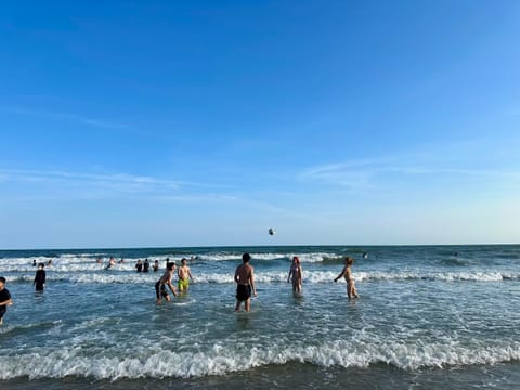 Day, People, Natural landscape, Beach, Sea view, group of guests