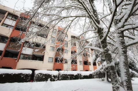 Property building, Winter