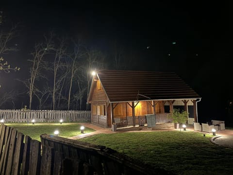 Property building, Night, Garden