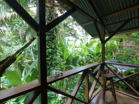 Balcony/Terrace, Garden view