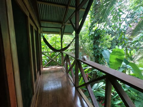 Balcony/Terrace, Garden view