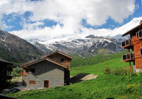 View (from property/room), Area and facilities