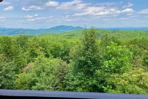 Boulder Ridge Cabin House in Lake Lure