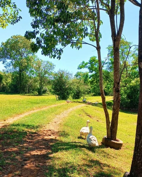 Garden, Hiking