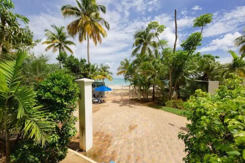 Beach, Garden view