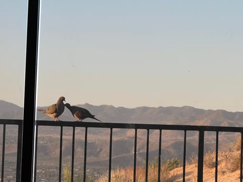 Mountainside Retreat Villa in Yucca Valley