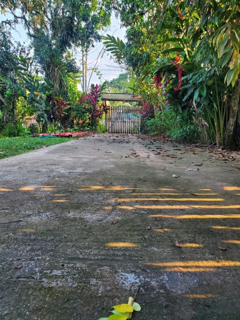 Facade/entrance, Garden