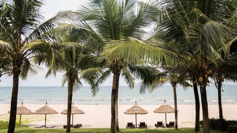 Natural landscape, Beach, Sea view, sunbed