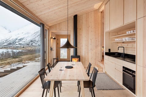 Black Aurora Nook House in Lofoten