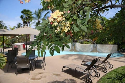 Pool view, Swimming pool, sunbed