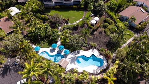 Bird's eye view, Swimming pool