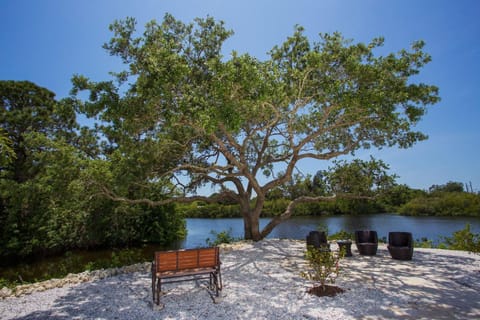 Tropical Waterfront Oasis - House in Englewood