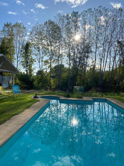 Garden, Pool view, Swimming pool