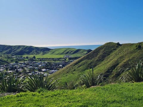 Young Nick's Heights House in Gisborne