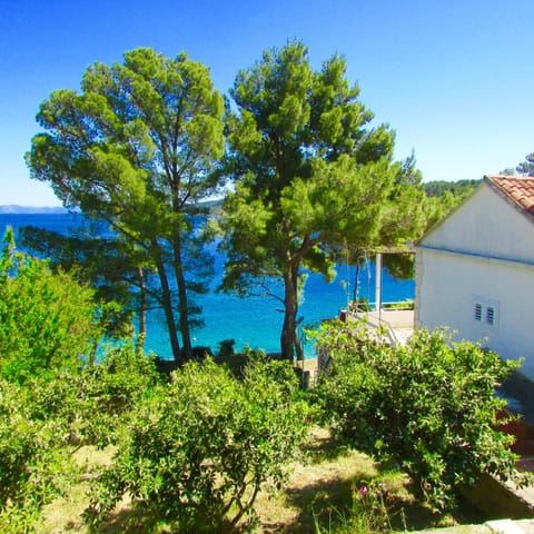 Garden, Lake view
