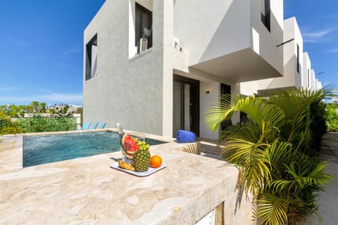 Charming Getaway Villa Villa in Punta Cana