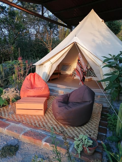 Living room, Seating area, Garden view