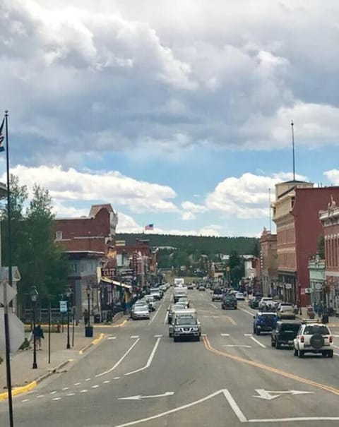 The Mountain House - An Oasis in Town! House in Leadville