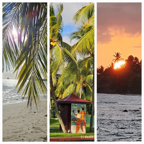 Natural landscape, Beach, Sunset