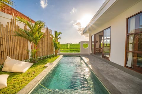 Natural landscape, Pool view, Swimming pool, sunbed