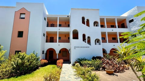 Property building, Garden, Garden view