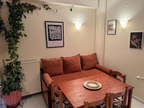 Sunny and Spacious Luxury House Apartment in Trikala