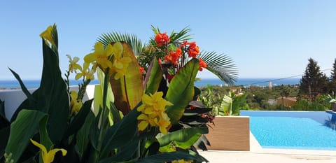 Sea view, Swimming pool