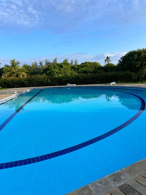 Day, Pool view, Swimming pool