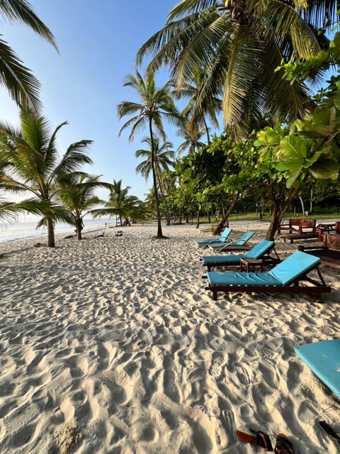 Natural landscape, Sea view, sunbed