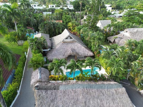 Property building, Day, Natural landscape, Bird's eye view, Pool view, Swimming pool