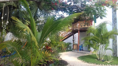 Zamunda Garden View Posada in Tulum