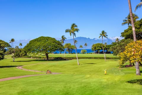 Maui Eldorado Condo G106 House in Kaanapali